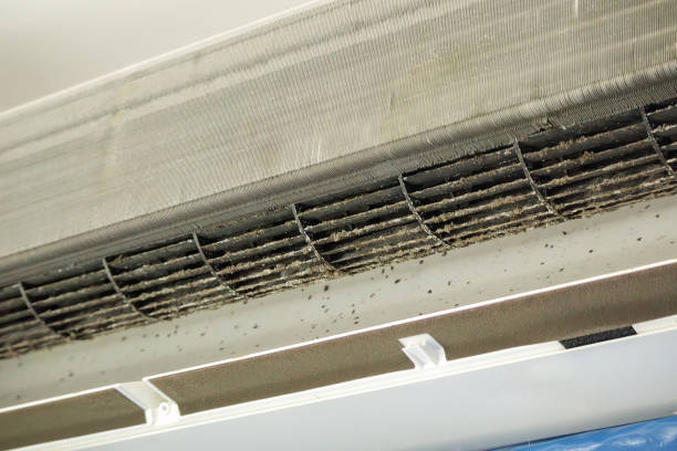 Best Local Air Duct Cleaning Services  in Laingsburg, MI