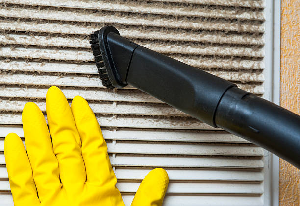 Best HVAC Maintenance and Cleaning  in Laingsburg, MI