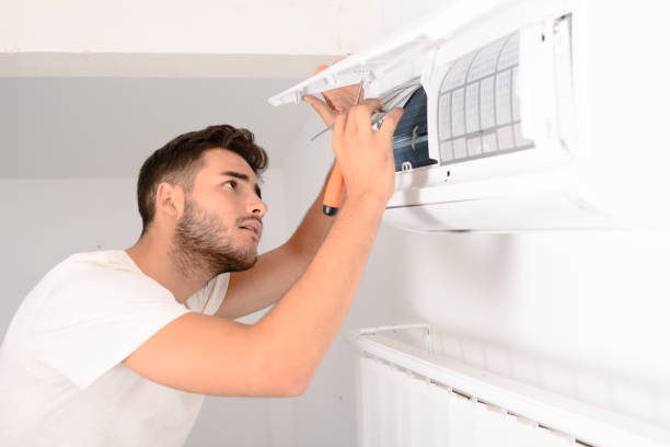 Best Local Air Duct Cleaning Services  in Laingsburg, MI